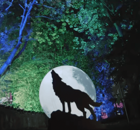 Edinburgh Zoo Halloween light trail