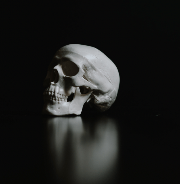 Fake skull surrounded by darkness