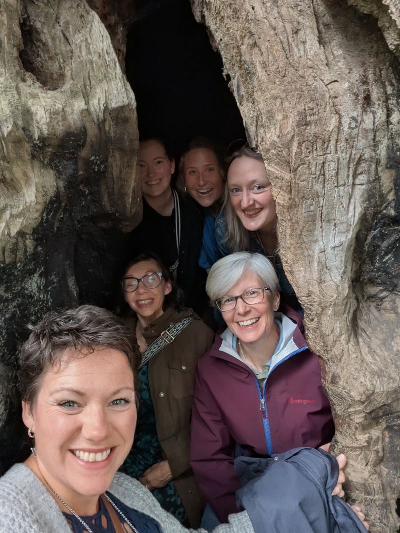 Mercat's Leadership Team inside the legendary Birnam oak!
