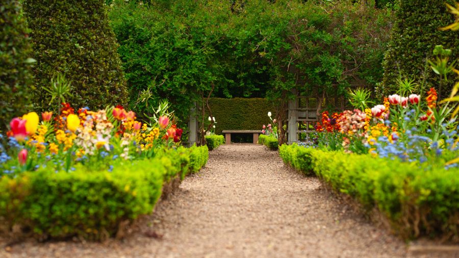A gravel path through a well-kept garden of blooming flowers, leading through a leafy archway and to a stone bench against a hedge.