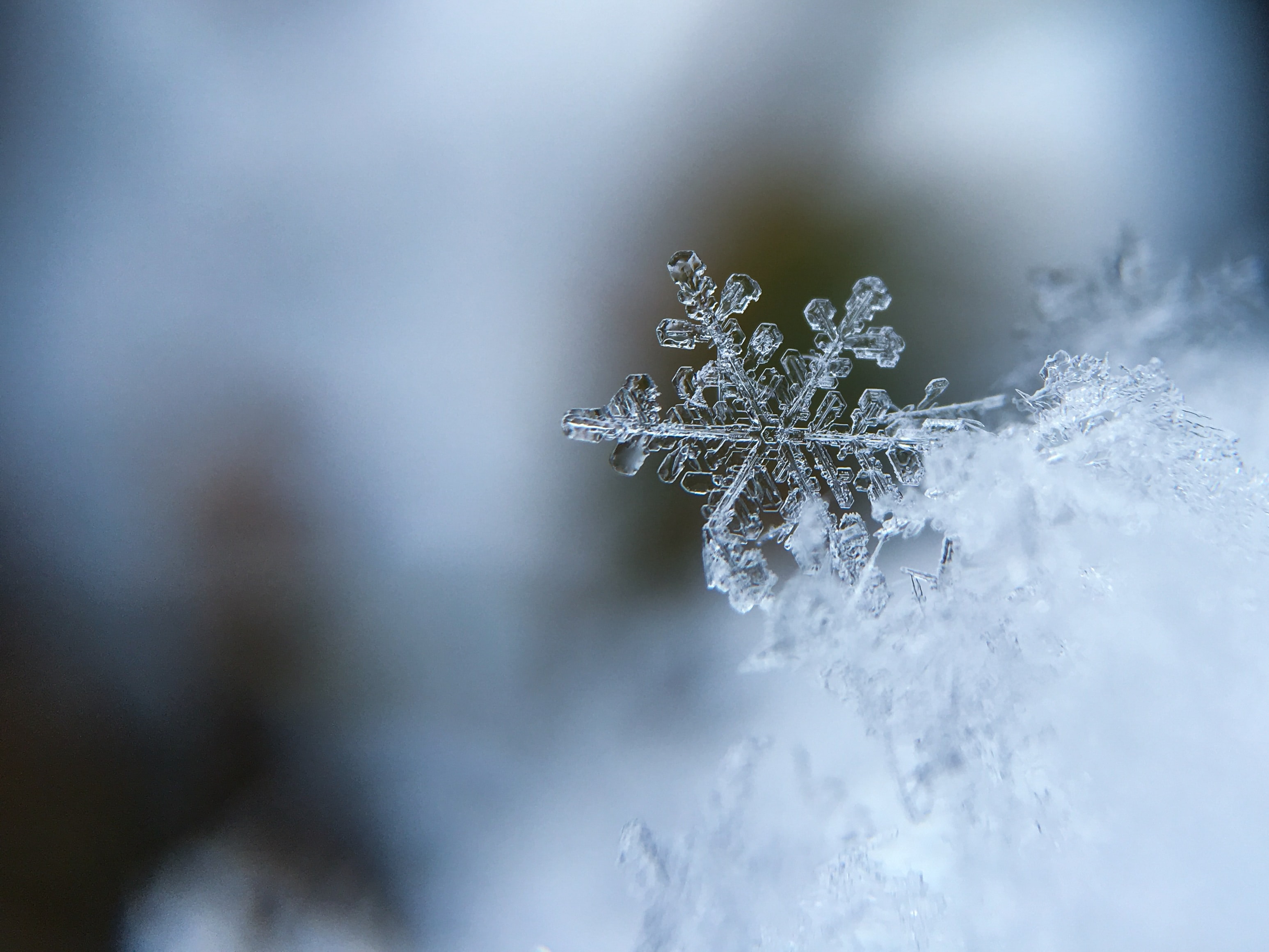 The Cailleach: Queen of Scottish Winter