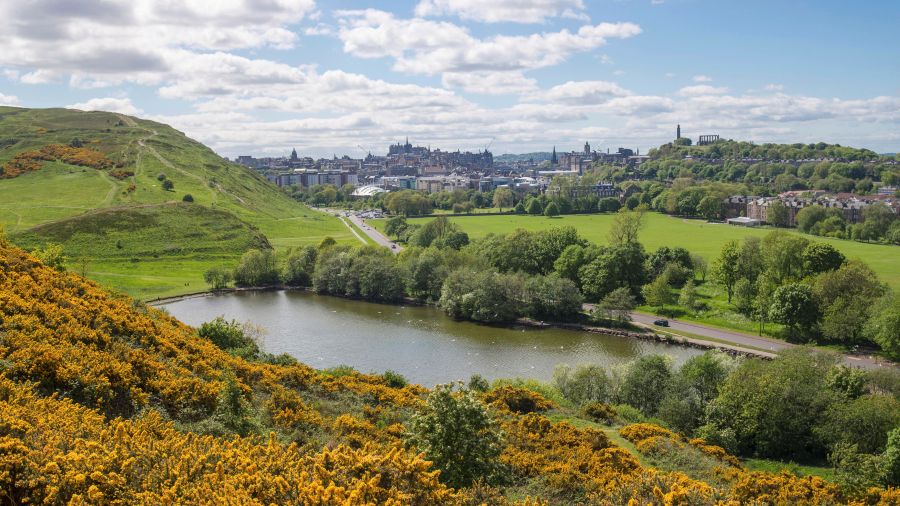 A photo taken from a hill covered in yellow gorse flowers, looking out over the city of Edinburgh during summer and St Margaret’s Loch.